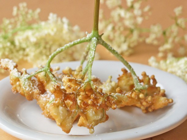 Elderflower fritters 1