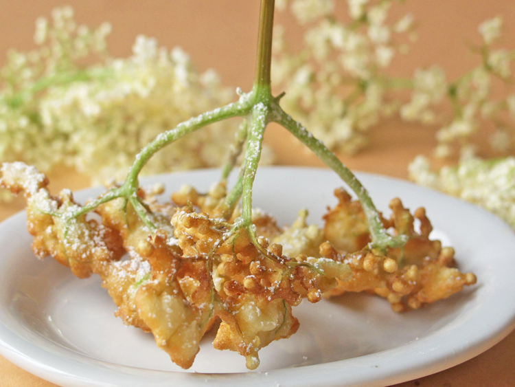 Elderflower fritters 1