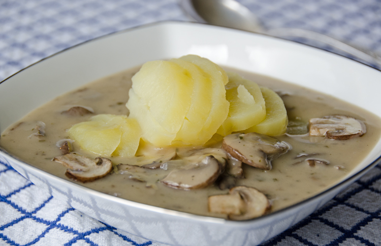 Cream of Mushroom Soup