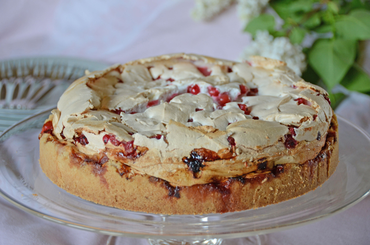 My German berry patch | Spoonfuls of Germany My German berry patch | Spoonfuls of Germany