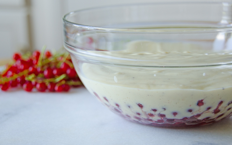 Red currants with vanilla custard