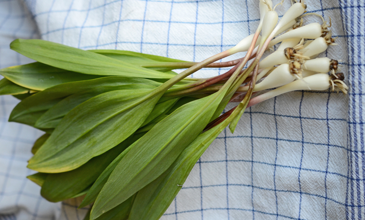 Ramps with bulbs